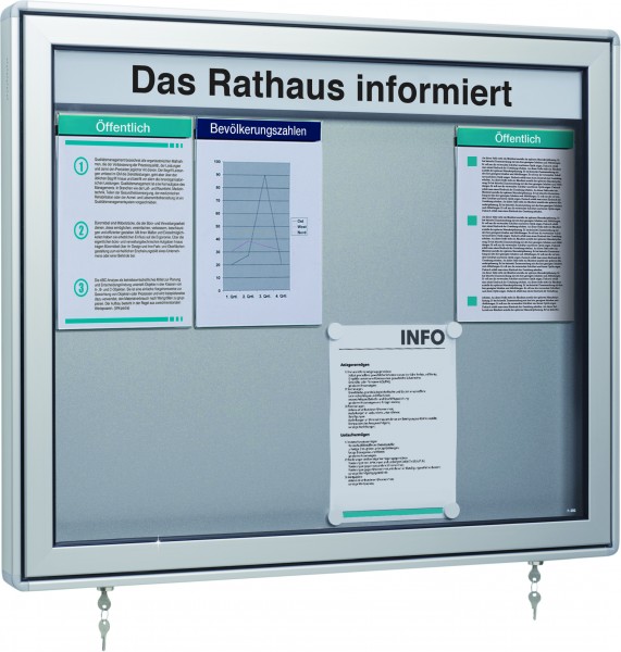 Schaukasten 60 Flügeltür / Drehtür