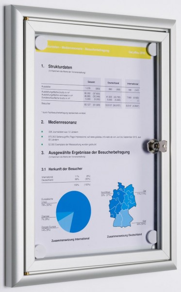 Schaukasten 22 Drehtür mit Rahmen BUDGET